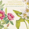 Wild Flowers of North america book cover