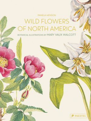 Wild Flowers of North america book cover