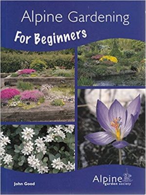 Alpine Gardening For Beginners