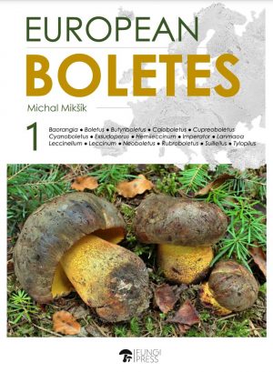 European Boletes Volume 1 book cover