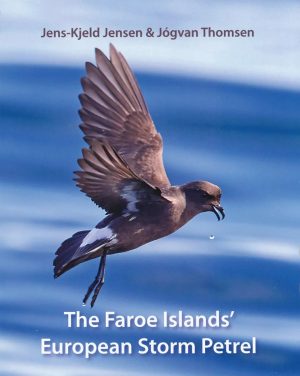 The Faroe Islands' European Storm Petrel