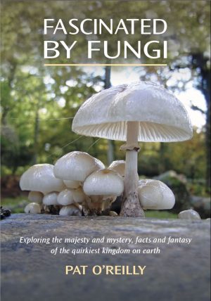 Fascinated by Fungi: exploring the majesty and mystery, facts and fantasy of the quirkiest kingdom on earth