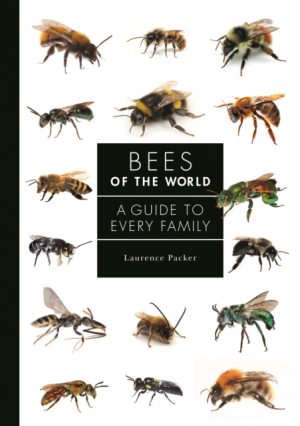 Bees of the World : A Guide to Every Family book cover