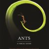 Ants: A Visual Guide