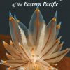 Nudibranchs & Sea Slugs of the Eastern Pacific