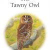 The Tawny Owl hardback book cover