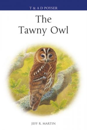 The Tawny Owl hardback book cover
