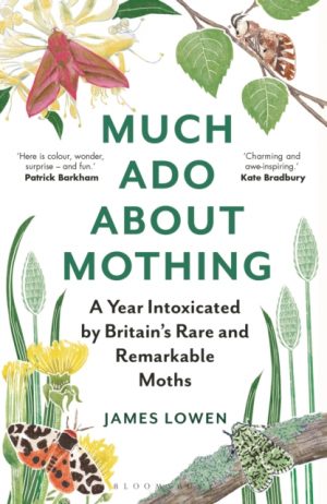 Much Ado About Mothing: A year intoxicated by Britain's rare and remarkable moths book cover