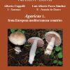 Fungi Non Delineati LXXVI - LXXVIII - Agaricus L. from European Mediterranean Countries