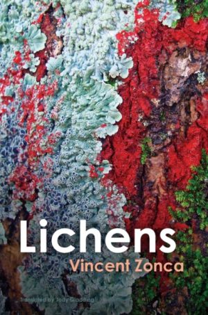 Lichens book cover