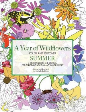 A Year of Wildflowers-SUMMER: A coloring book and journal for identifying New England's wildflowers