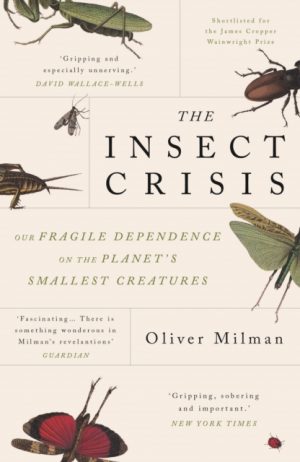 The insect Crisis