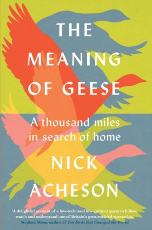 The Meaning of Geese book cover