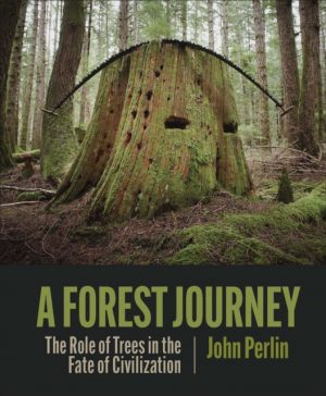 A Forest Journey book cover