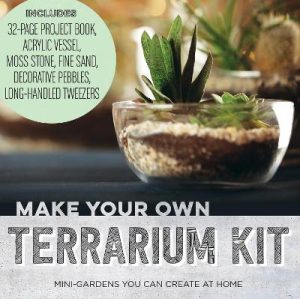 Make Your Own Terrarium Kit: Mini Gardens You Can Create at Home