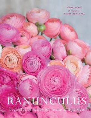 Ranuculus: Beautiful Varieties for Home and Garden