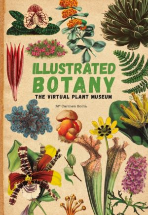 Illustrated Botany book cover
