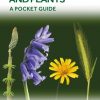 British and Irish Wild Flowers and Plants : A Pocket Guide