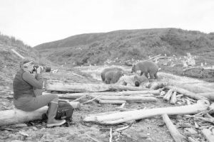 Watch the Bear: A Half Century with the Brown Bears of Alaska