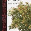 Rowan