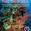 An Underwater Guide to the Red Sea