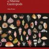 Compendium of Marine Gastropods: 2021