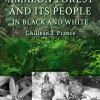 The Amazon Forest and its people