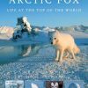 Arctic Fox: Life at the Top of the World