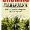 Growing Marijuana: How to Cultivate Marijuana Inside & Outside