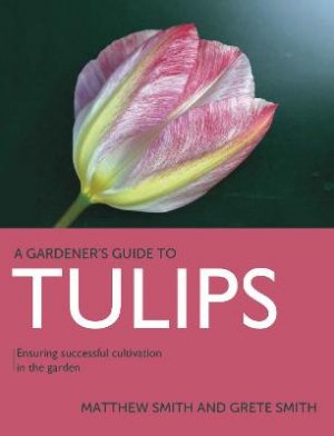 Tulips: Ensuring Successful Cultivation in the Garden