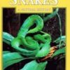 Australian Snakes: A Natural History