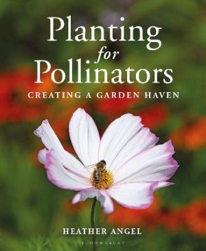 Planting for Pollinators: Creating a Garden Haven