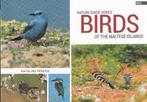 Birds of the Maltese Islands: 2017
