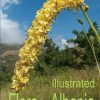 Flora of Albania book cover