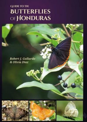The Butterflies of Honduras book cover