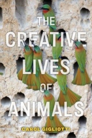 The Creative lives of animals book cover