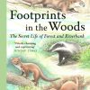 Footprints in the Woods: The Secret Life of Forest and Riverbank