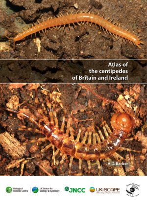 British and Irish Stoneflies (Plecoptera) Key to the Adults and Larvae book cover