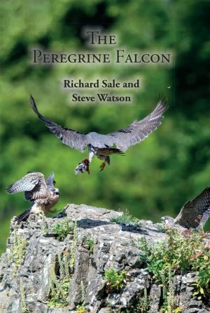 The Peregrine Falcon book cover