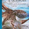 The Lives of Octopuses and Their Relatives: A Natural History of Cephalopods