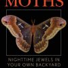 Discovering Moths: Nighttime Jewels in Your Own Backyard, Eastern North American Species