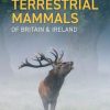 Sound Identification of Terrestrial Mammals of Britain & Ireland
