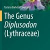 The Genus Diplusodon (Lythraceae)