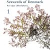 Seaweeds of Denmark: 1, Red algae (Rhodophyta) & Seaweeds of Denmark 2, Brown algae (Phaeophyceae) and Green algae (Chlorophyta)