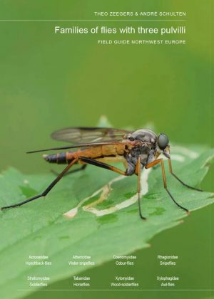 Field Guide to Flies with Three Pulvilli: Families of Homeodactyla of Northwest Europe
