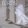 Yellowstone's Birds: Diversity and Abundance in the World's First National Park