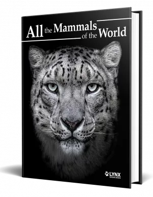 All the Mammals of the World book cover