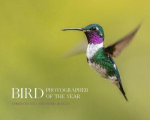 Bird Photographer of the Year : Collection 8