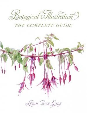 Botanical Illustration: The Complete Guide