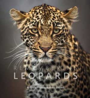 Remembering Leopards